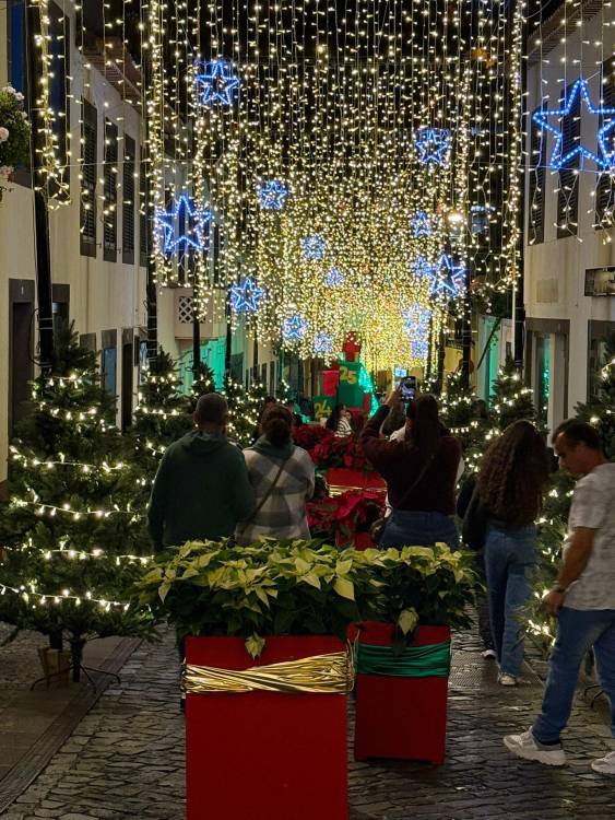 Câmara de Lobos acende a maior iluminação natalícia de sempre