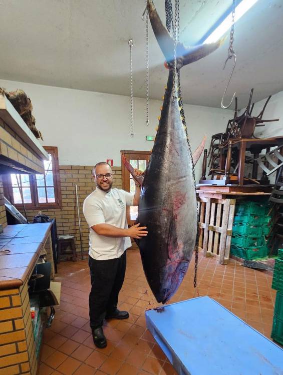 Ilhapeixe adquire primeiro atum rabilho do ano na Região