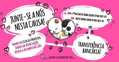 Associação Ajuda a Alimentar Cães pede donativos para salvar “o cantinho que salva vidas”