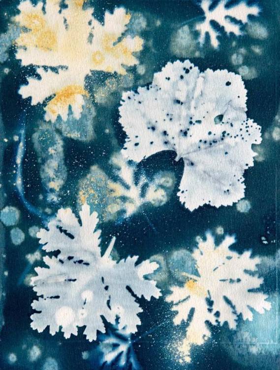 A Galeria Anjos Teixeira inaugura exposição “CYAN”