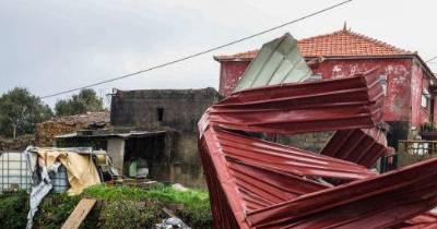 Mau tempo: Câmara de Pedrógão Grande estima que 80% das casas foram afetadas