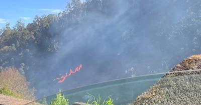 Incêndio no Caminho do Ribeiro Serrão mobiliza 7 operacionais (com vídeo)