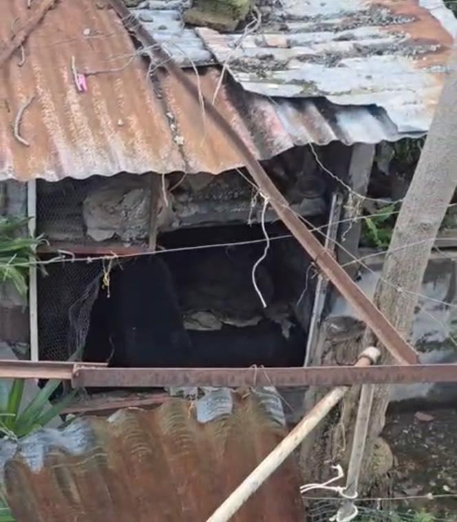 Associação resgata cadela “em estado deplorável” (com fotos)