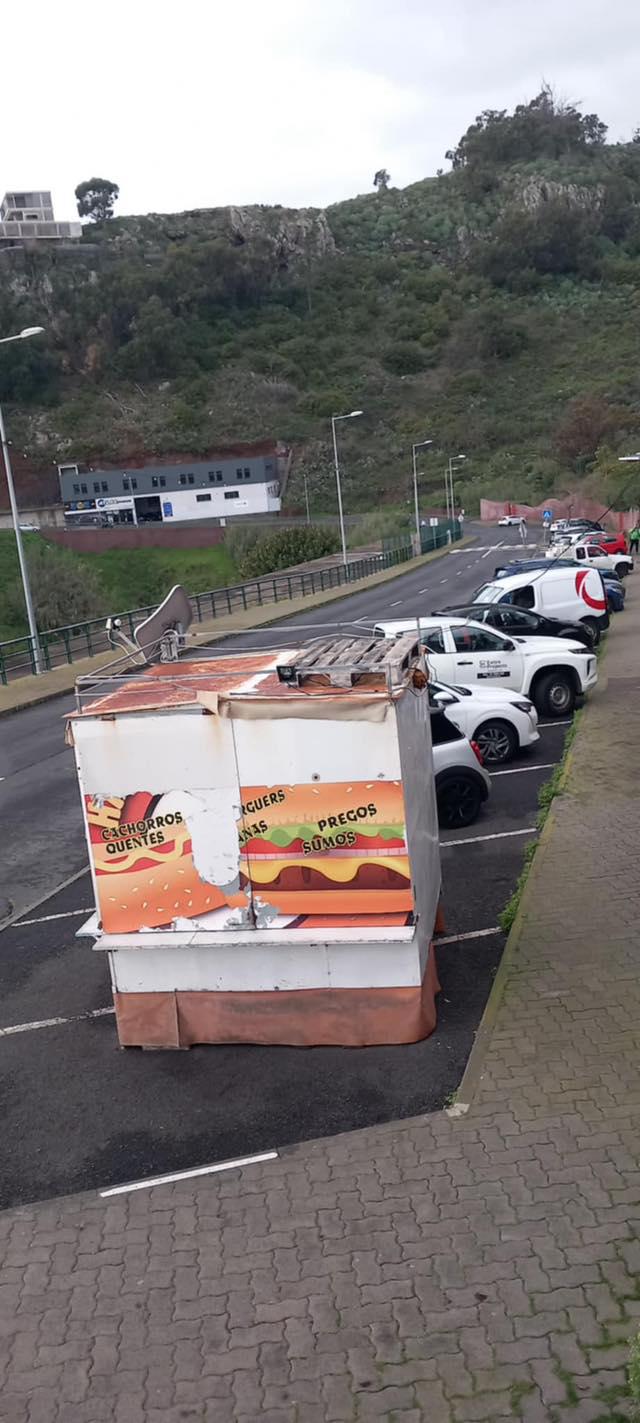 CRO de Santa Cruz resgata nova ninhada de gatos abandonados