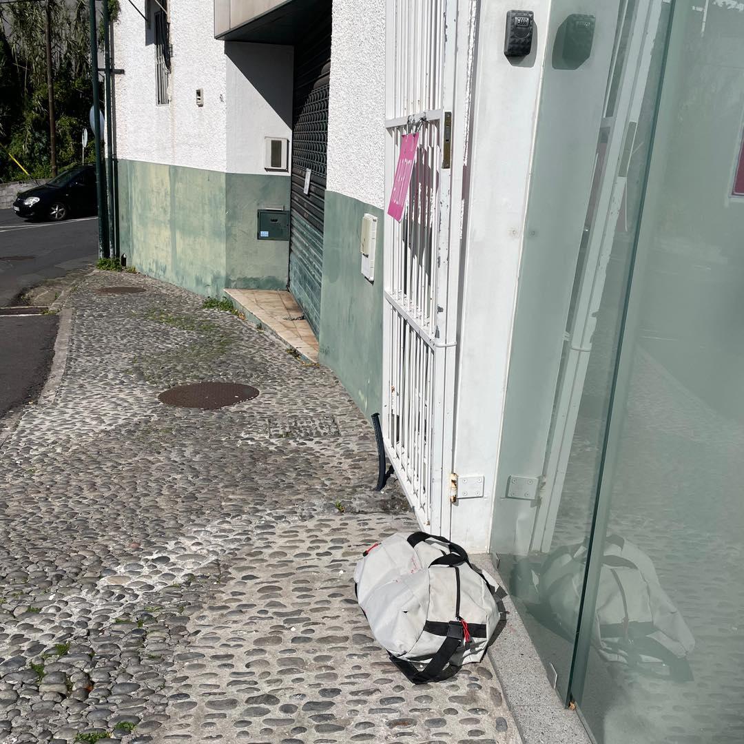 Gata abandonada à porta de associação no Funchal acaba ferida (com fotos)