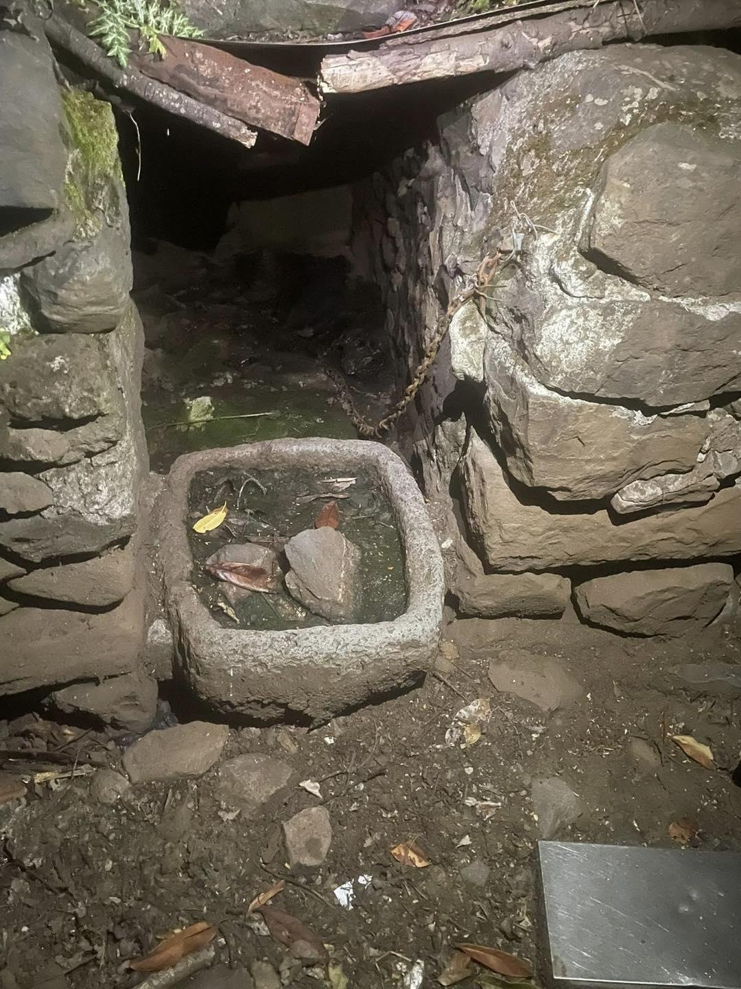 Cão resgatado na Camacha depois de viver acorrentado junto a animal morto (com fotos)