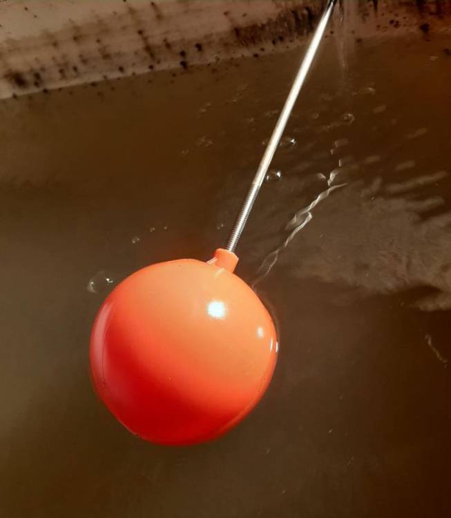 Morador da Fajã Velha indignado com água imprópria para consumo