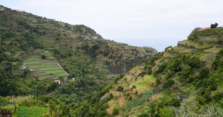 Ep. 27 - São Vicente, até ficar dormente