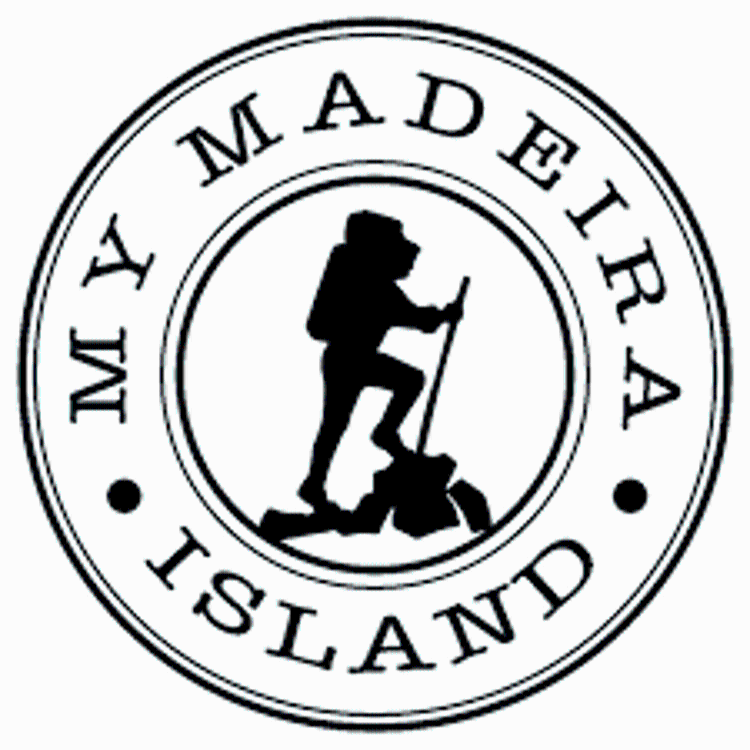 Jovens criam mapa digital para denunciar más práticas de sustentabilidade