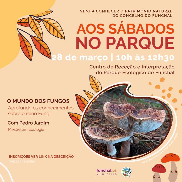 Parque Ecológico do Funchal: “Aos Sábados no Parque” dedica edição especial ao reino dos Fungos