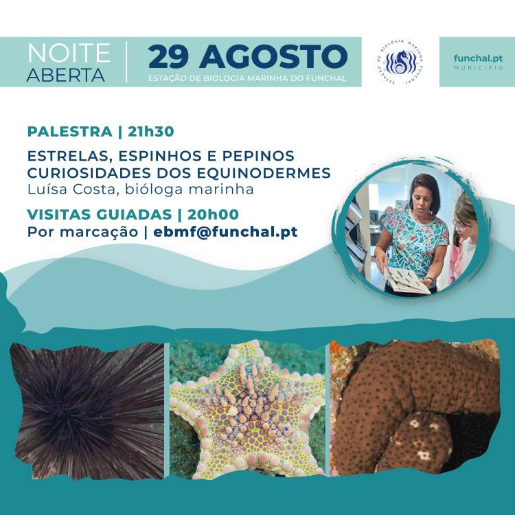 Noite Aberta da Estação de Biologia Marinha do Funchal aborda os equinodermes
