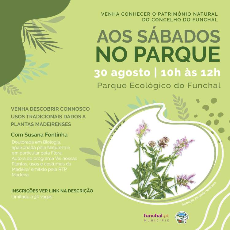 ‘Aos Sábados no Parque’ com sessão especial dedicada aos usos tradicionais das plantas madeirenses
