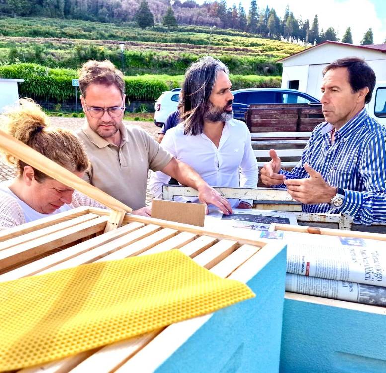 Apicultores poderão candidatar-se a apoios