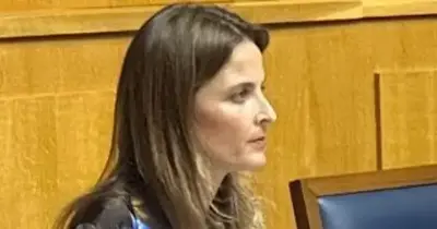 Governo garante execução de 939 camas aprovadas na rede de cuidados continuados