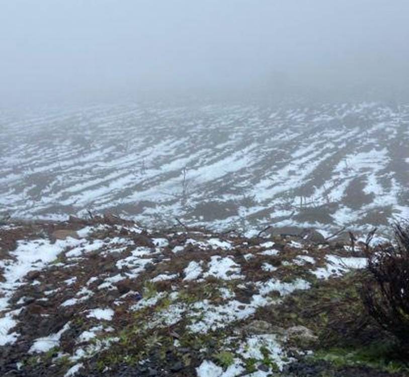 Veja como a neve está a pintar o Paul da Serra neste dia de Carnaval (com fotos e vídeos)