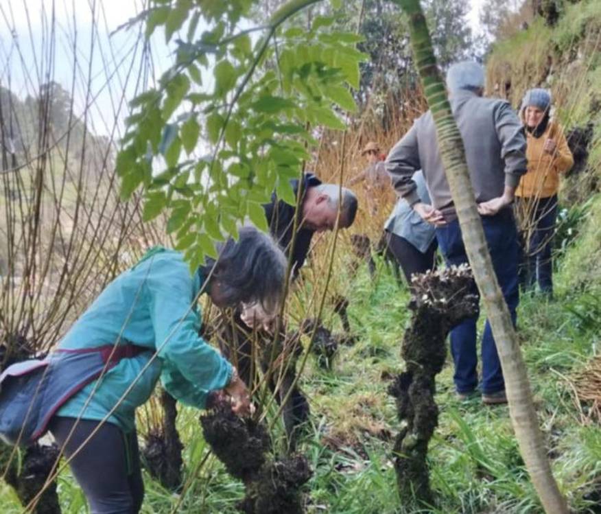 Clube de Ecologia Barbusano percorreu ‘O Roteiro do Vime e da Obra de Vimes’