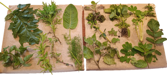 ‘Madeira Art Fest’ encerra 6.º edição com exposição coletiva