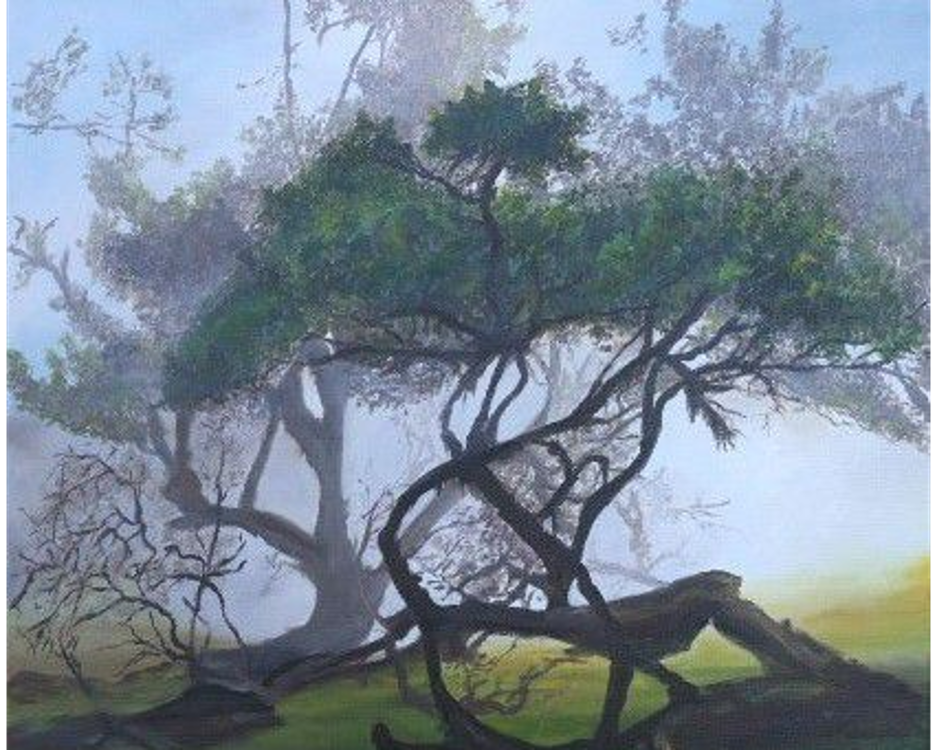 Exposição ‘Pinceladas Madeirenses’ inaugura dia 4 de fevereiro