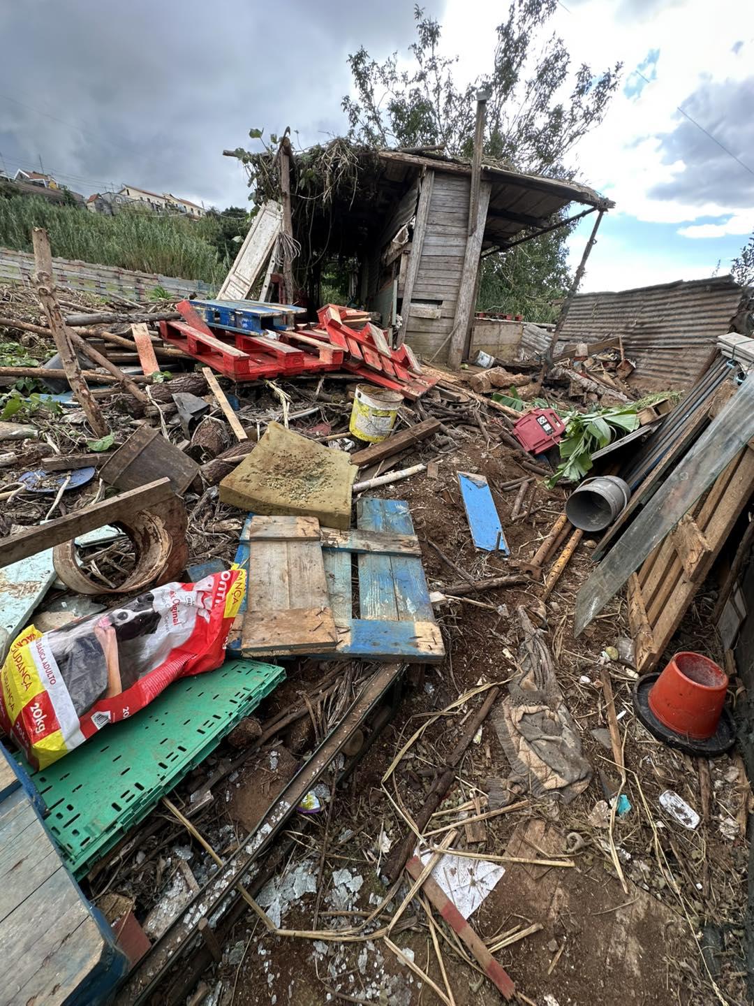 Voluntária agredida enquanto resgatava cães na Ponta do Sol