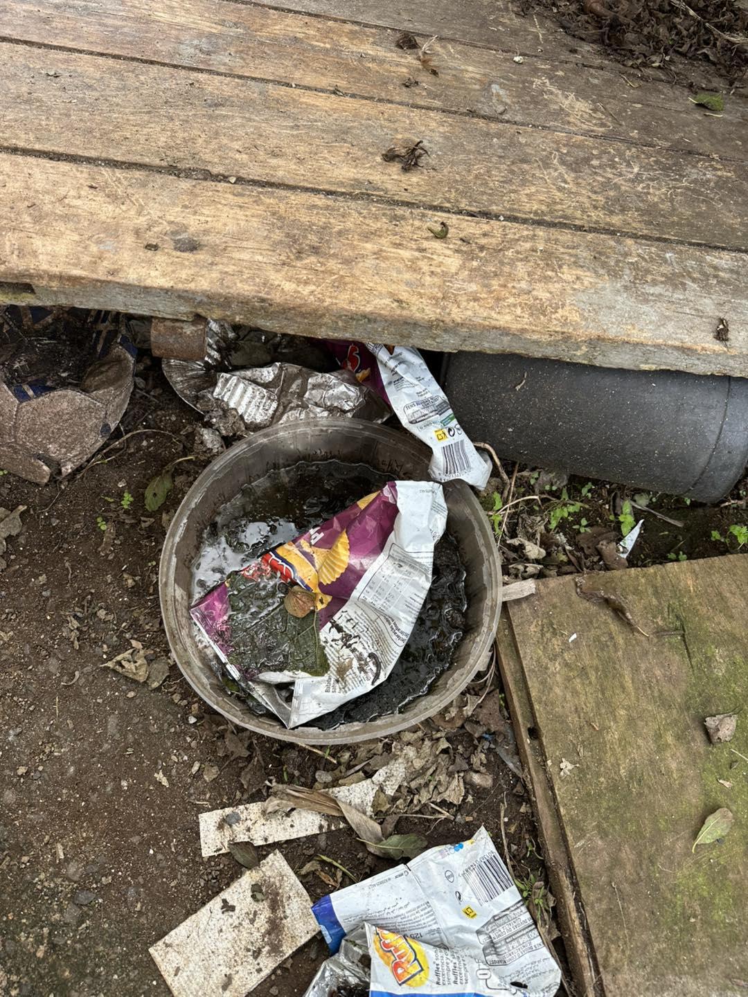 Voluntária agredida enquanto resgatava cães na Ponta do Sol