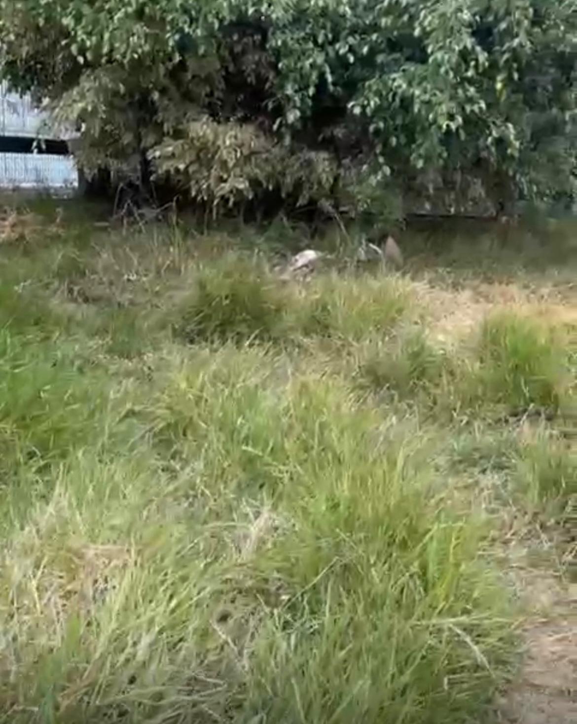 CMF refuta acusações da Confiança sobre o Campo Desportivo do Amparo