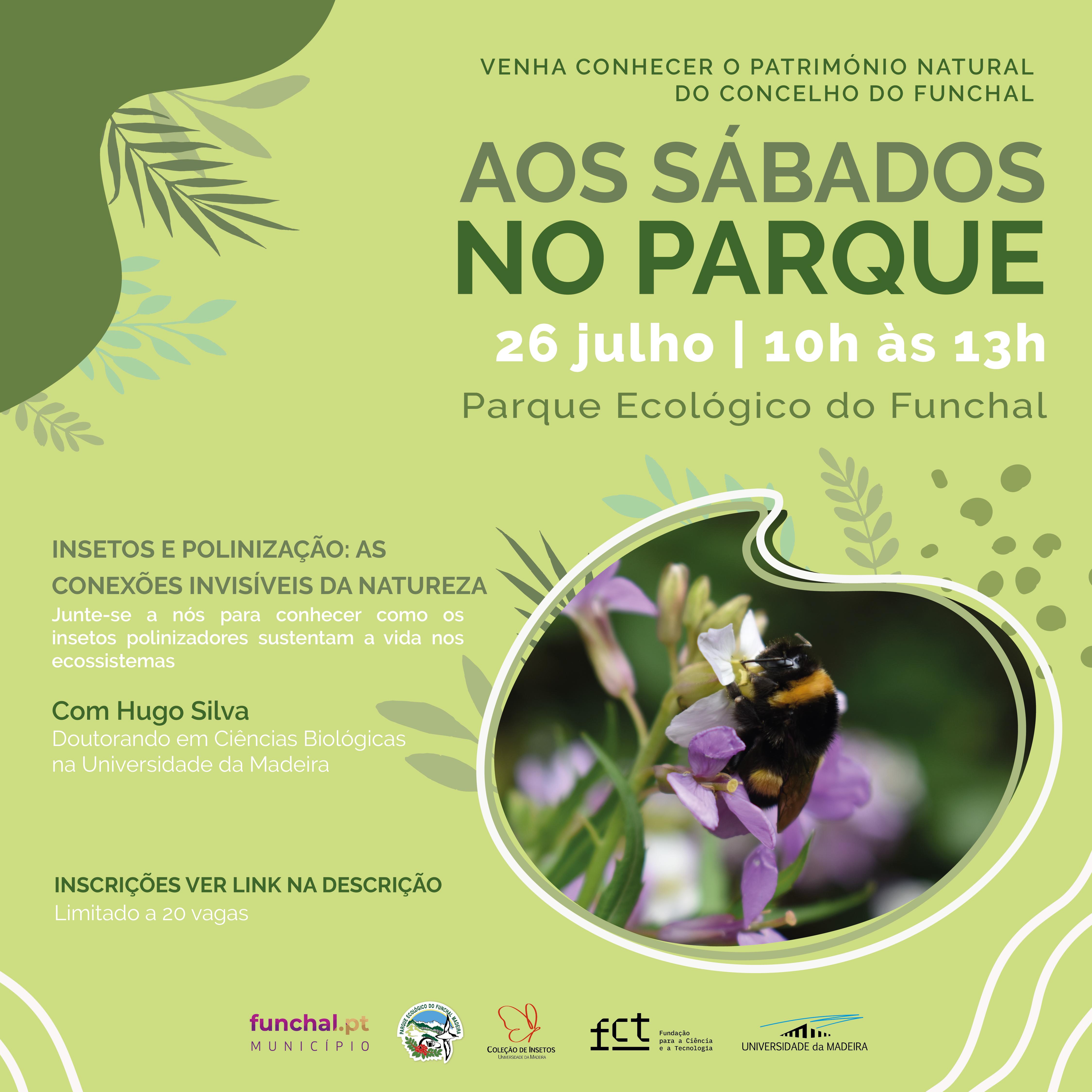 Insetos polinizadores e a sua importância nos ecossistemas em foco no Parque Ecológico