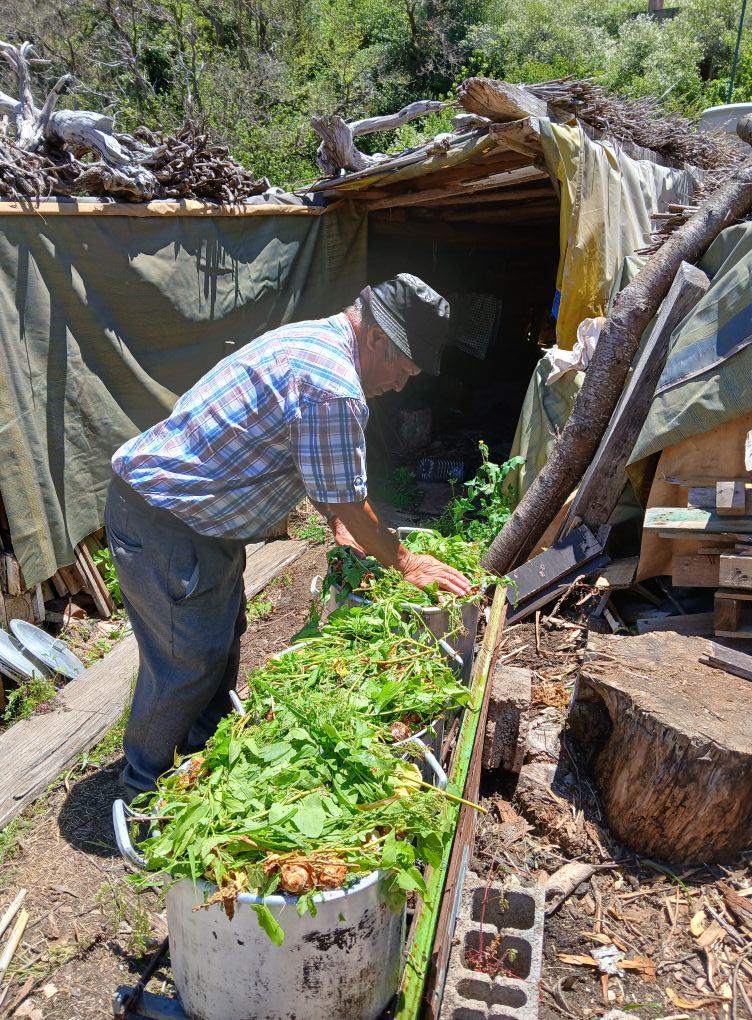 Brigalhó amanhã à prova na Praça do Curral das Freiras