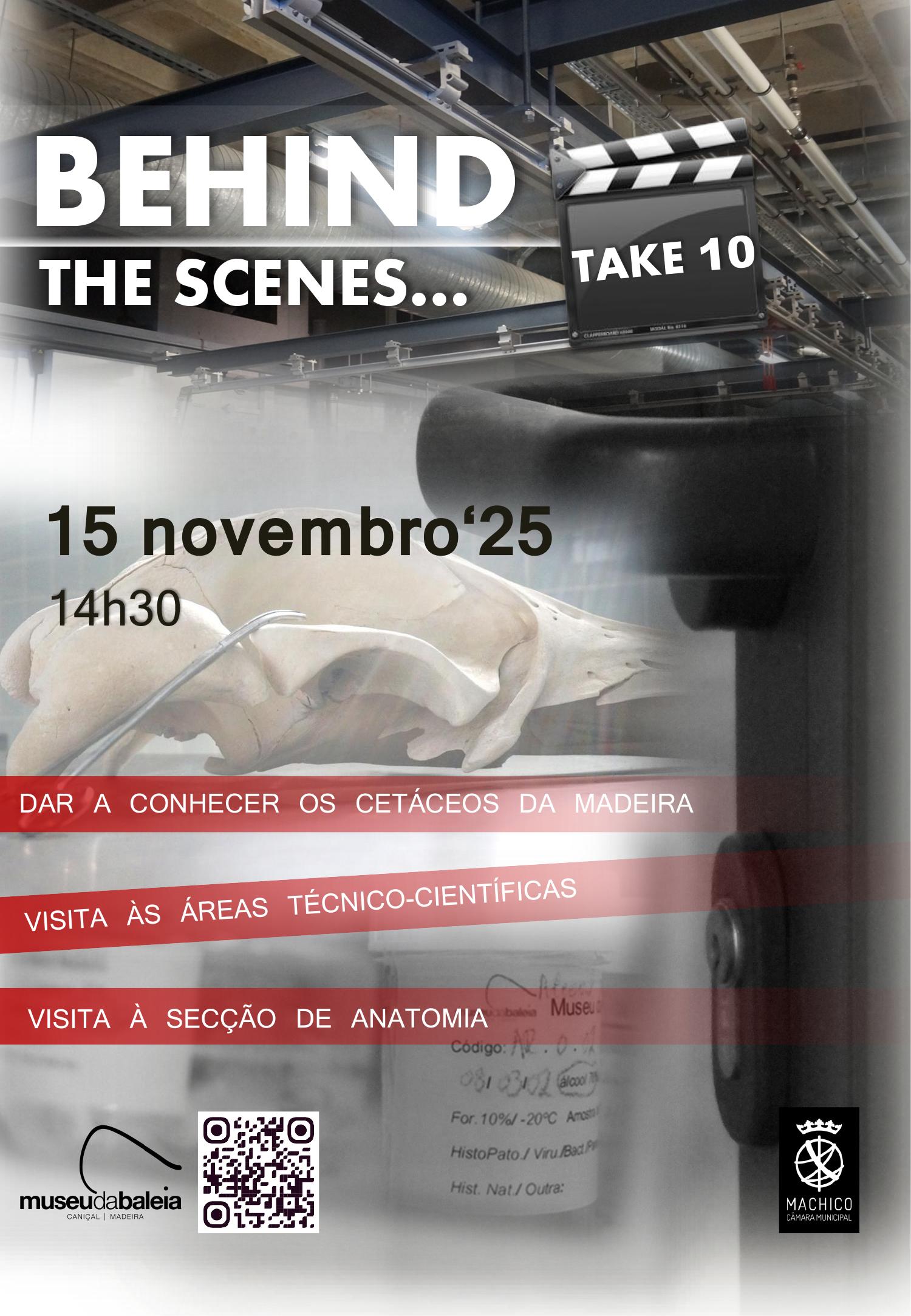 Museu da Baleia da Madeira comemora do Dia Nacional do Mar