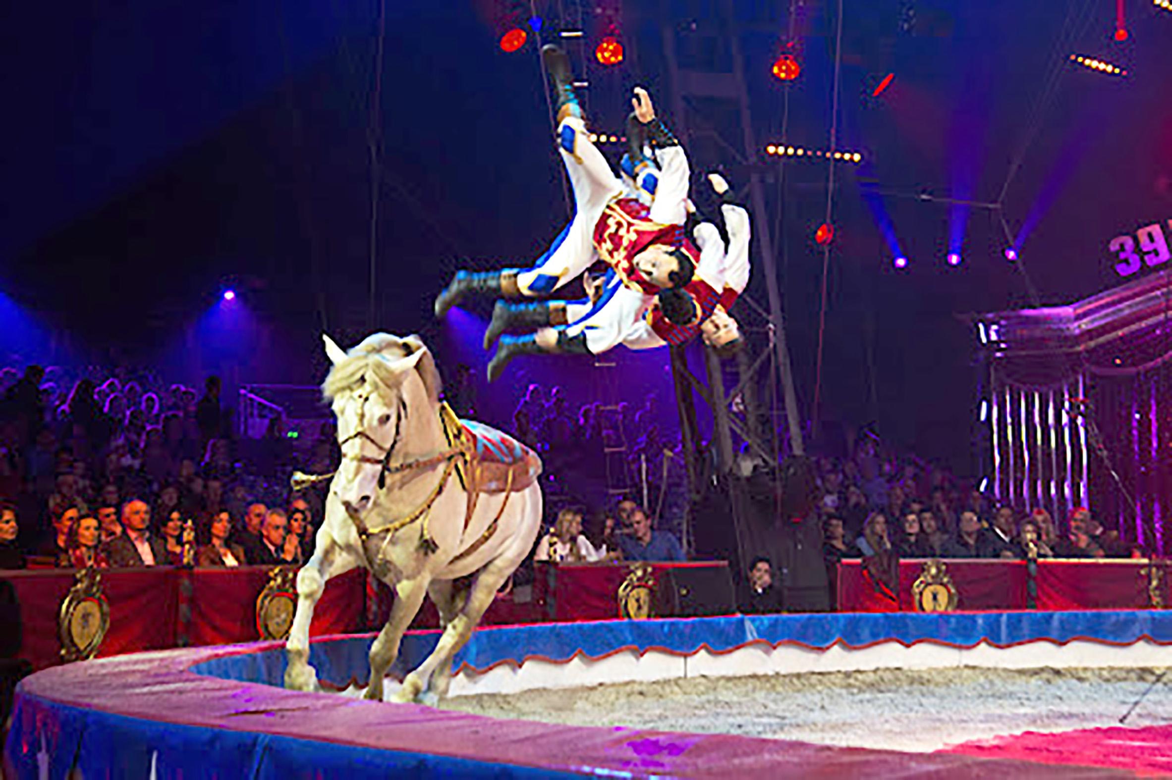 Veja as sugestões do JM para um Natal à medida do sofá com circo, música e cinema