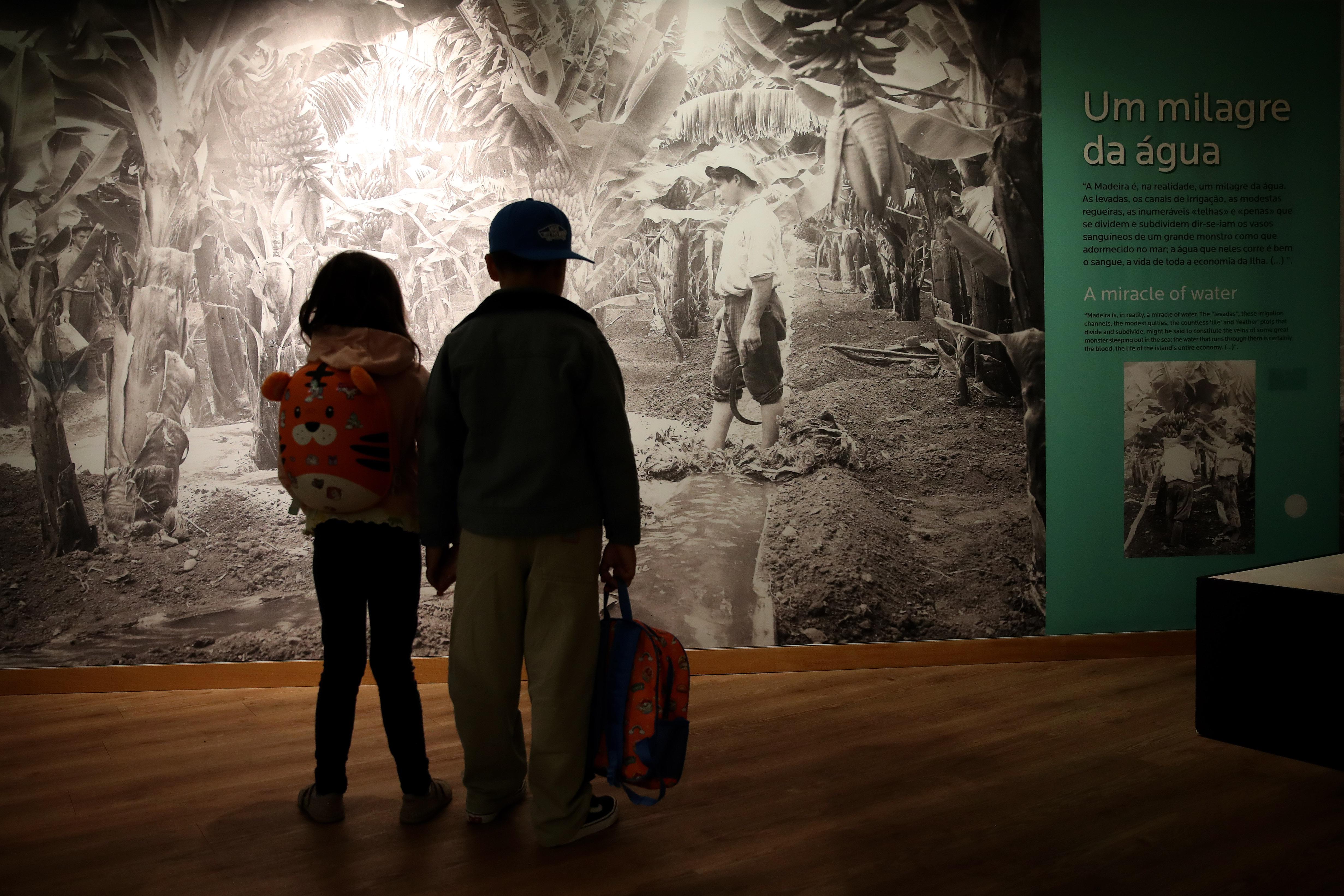 A fruta que se tornou uma imagem de marca da Madeira e tem agora um museu