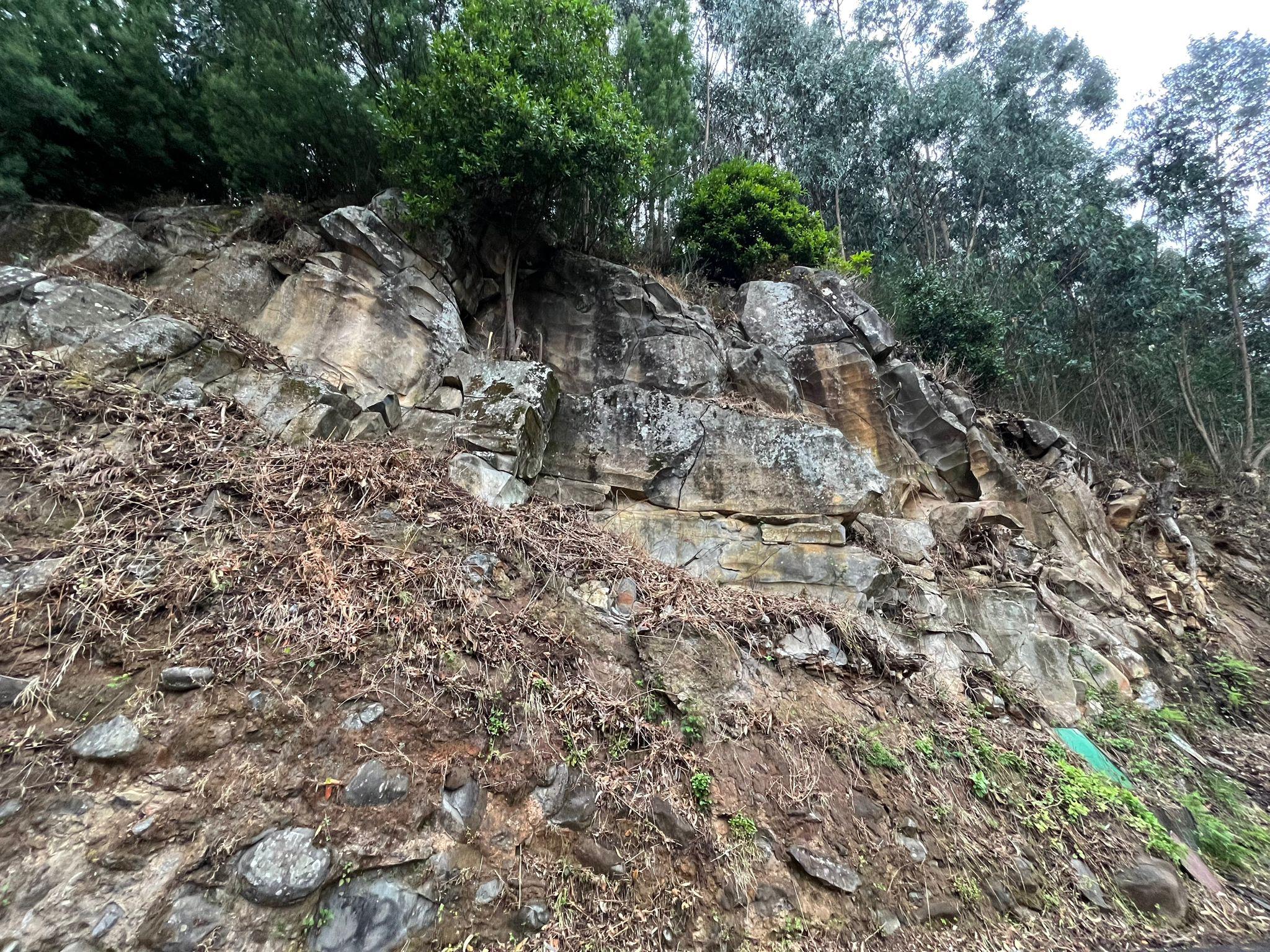 Perigo ‘à espreita’ na estrada municipal do Ribeiro Serrão (com fotos)