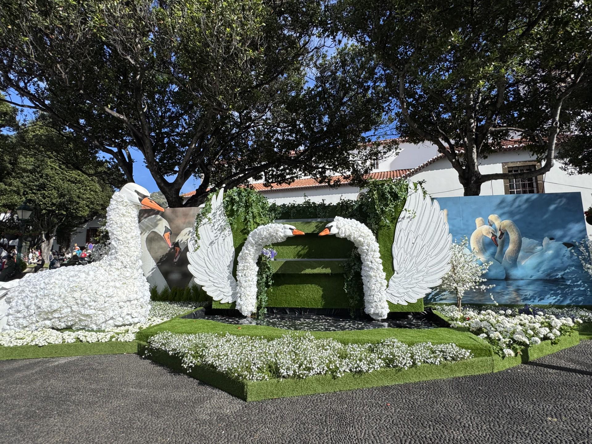 ‘Santa Cruz em Flor’ teve início