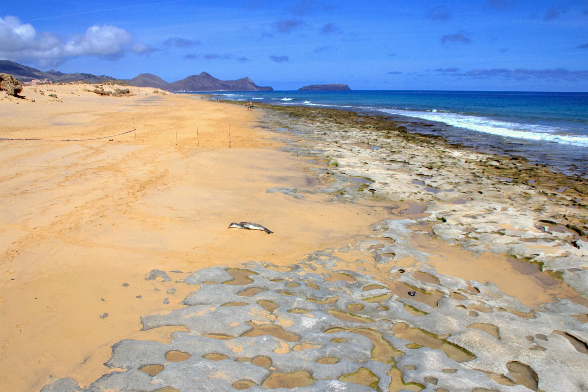 Sem rasto da Profeta que fez parar a praia
