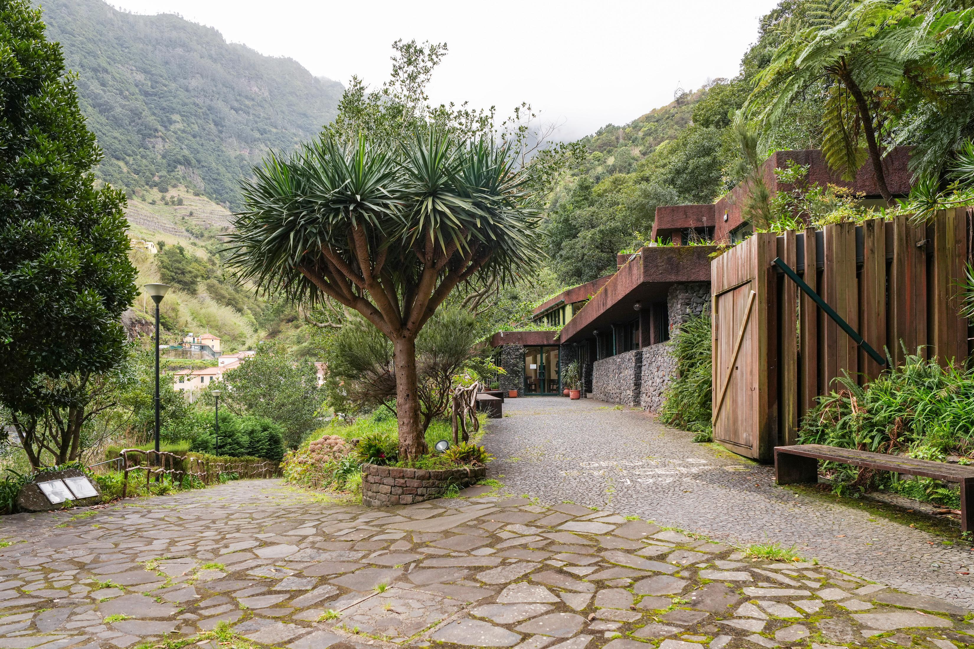 Antes e Depois: Grutas no centro da polémica, mas sem solução para reabrir (com fotos)
