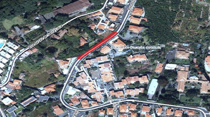 Alterações rodoviárias no Funchal para limpeza de árvores