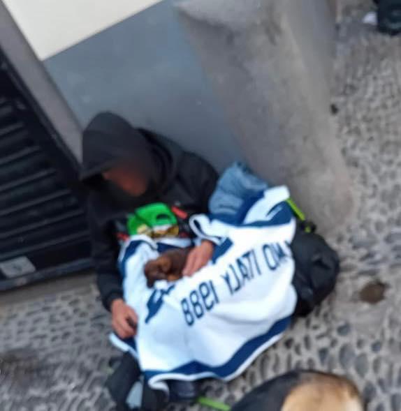 A Associação compromete-se a acolher os animais.