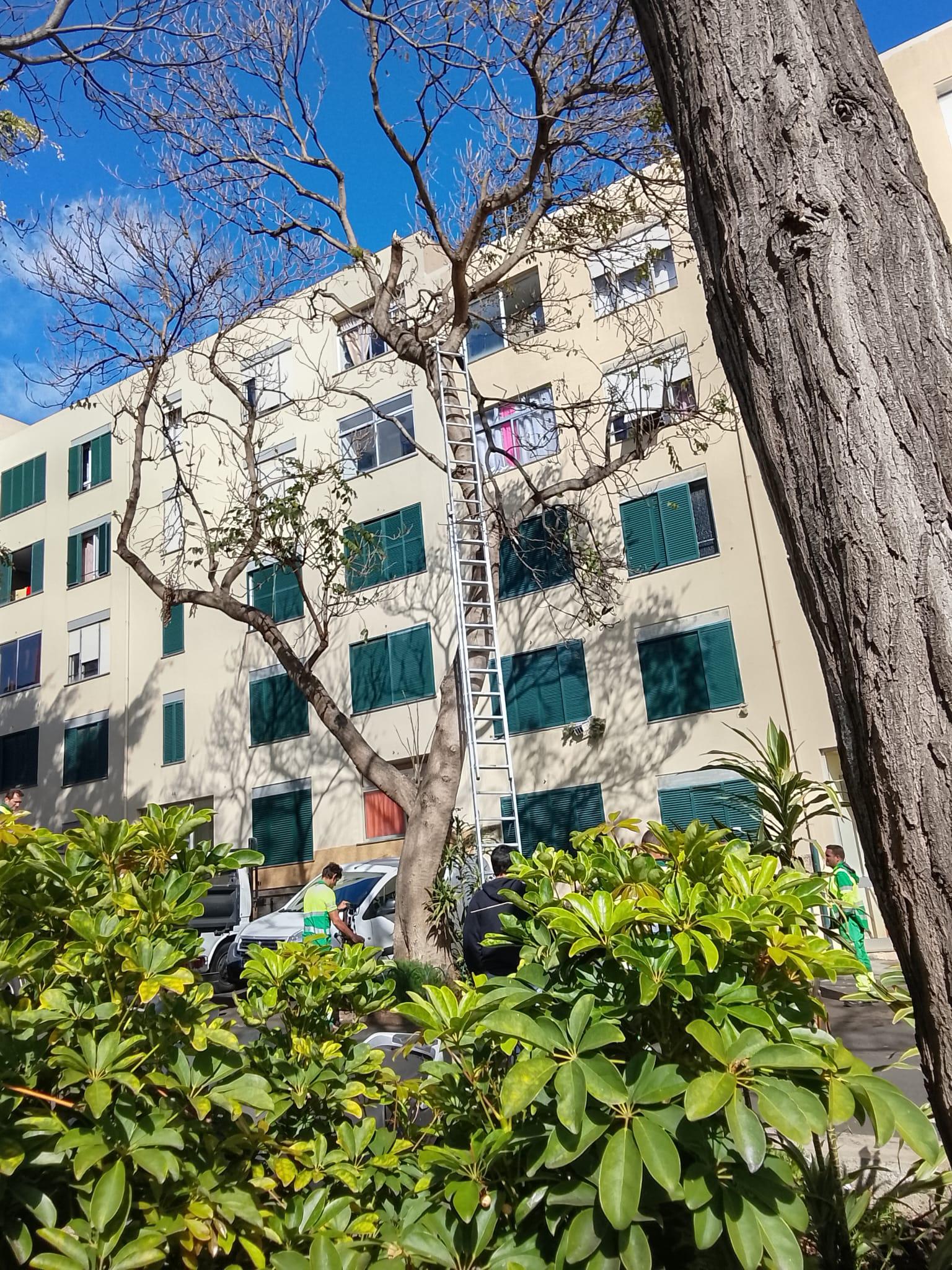 caso ficou resolvido com intervenção dos funcionários da Autarquia.