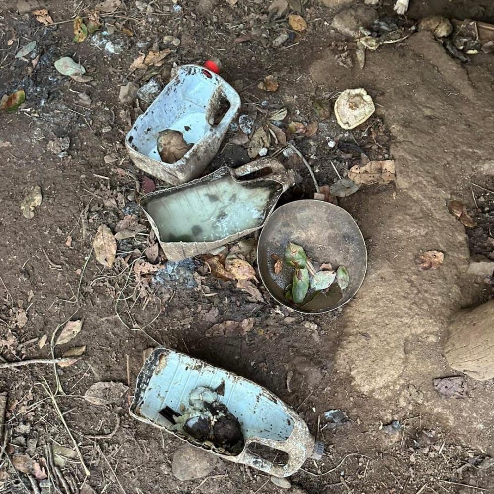 Associação resgatou cães em situação deplorável