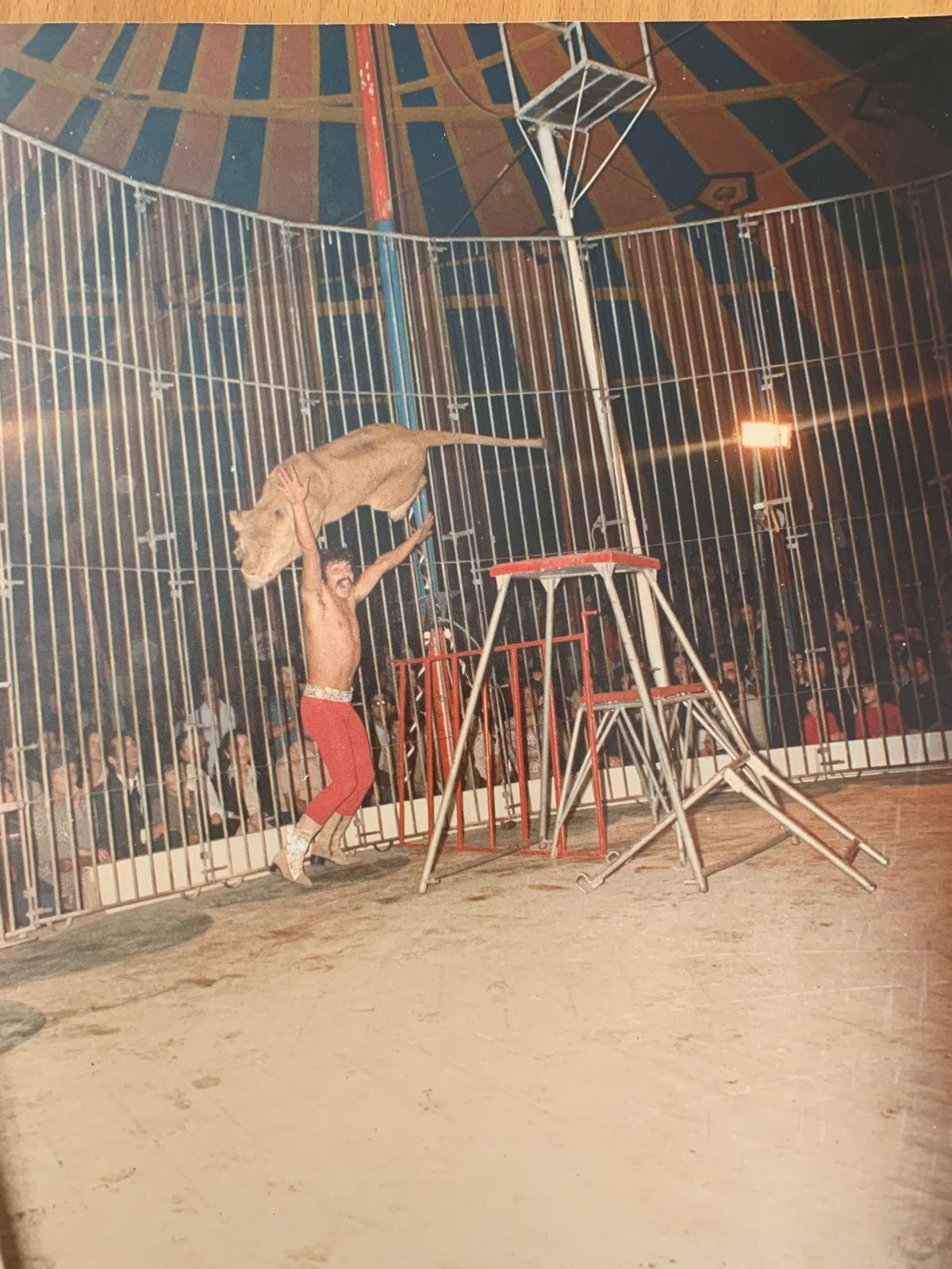 Artistas do Circo Mundial recordam o tempo dos animais (com fotos)