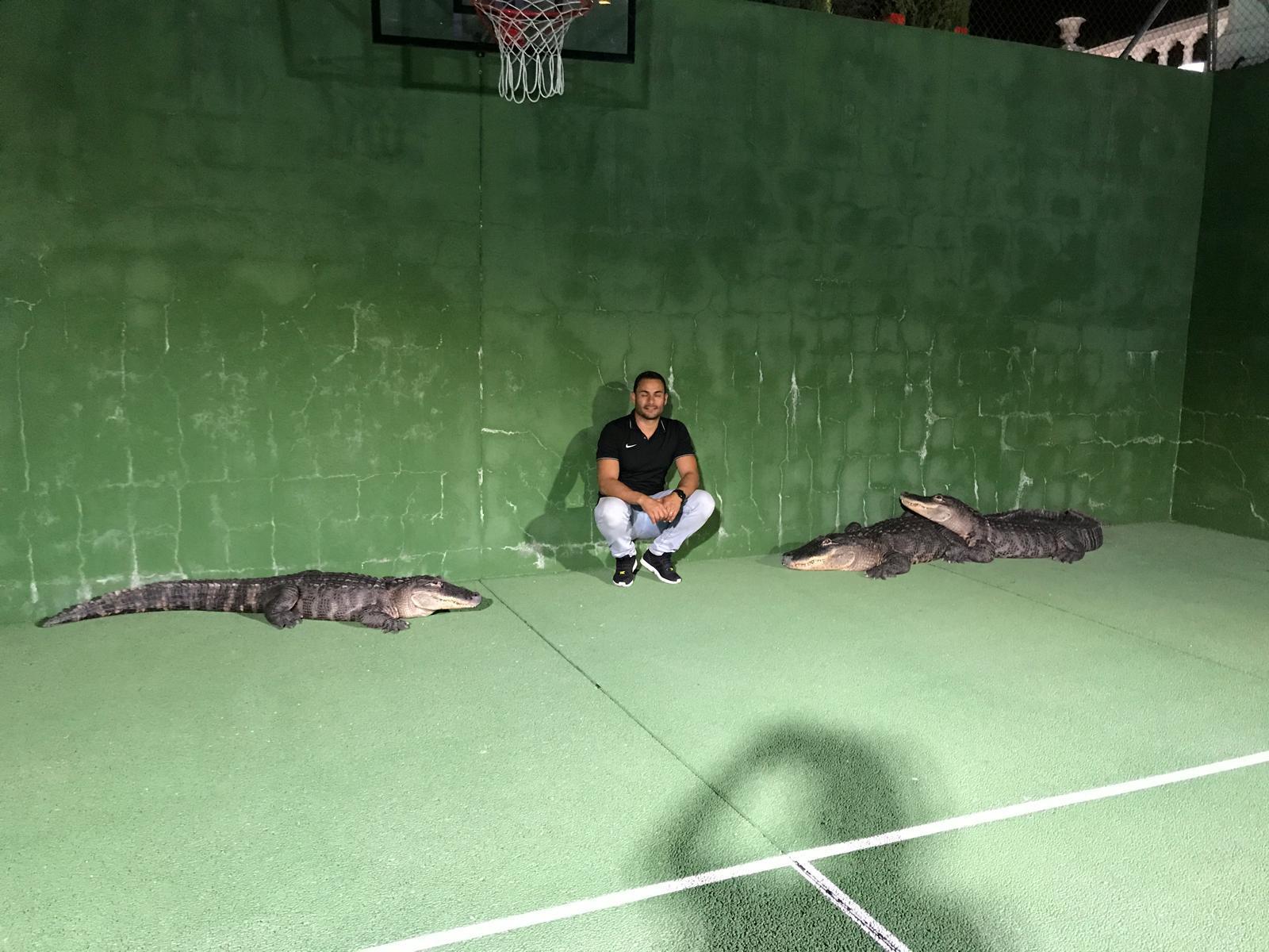 Artistas do Circo Mundial recordam o tempo dos animais (com fotos)