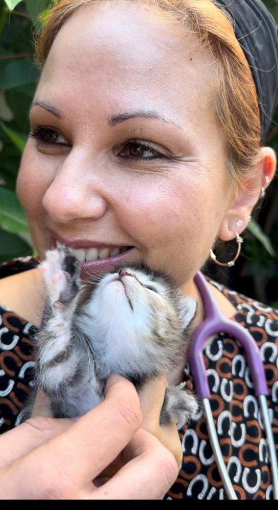 Simpatizante do partido, veterinária Carolina Martins, deu o seu parecer sobre o caso.