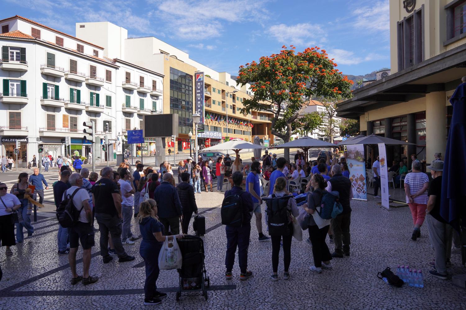 Maratona das Artes, no Mercado dos Lavradores