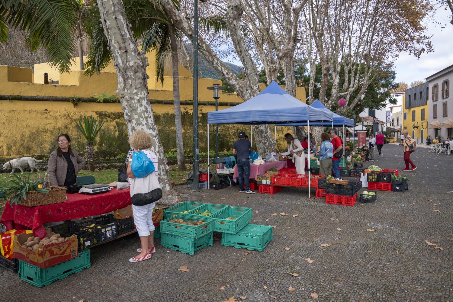 Aldeia Natal encanta de noite e de dia em Machico