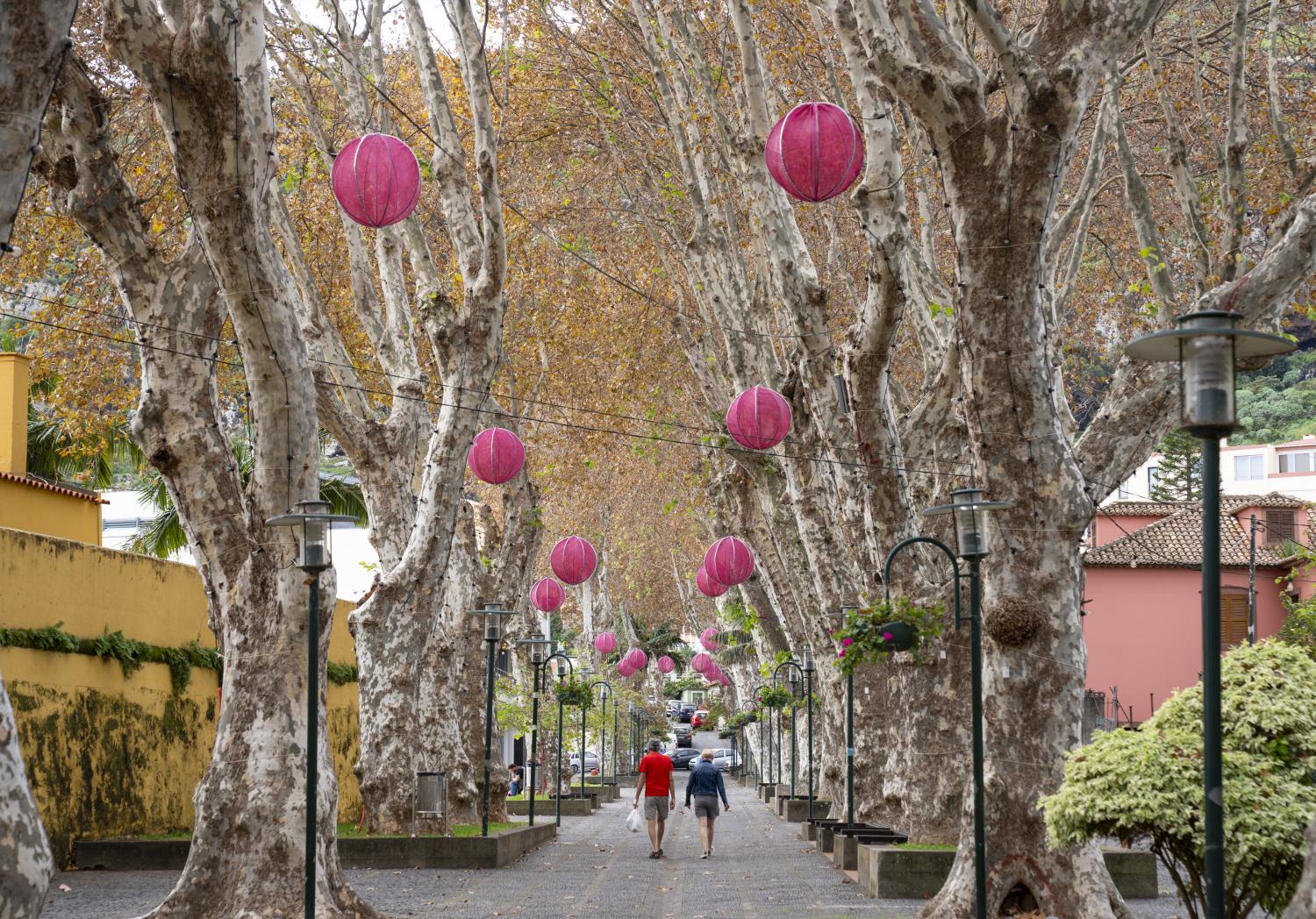 Aldeia Natal encanta de noite e de dia em Machico