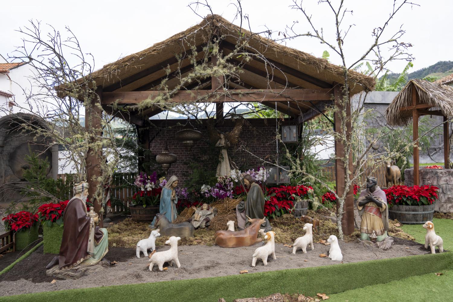 Aldeia Natal encanta de noite e de dia em Machico