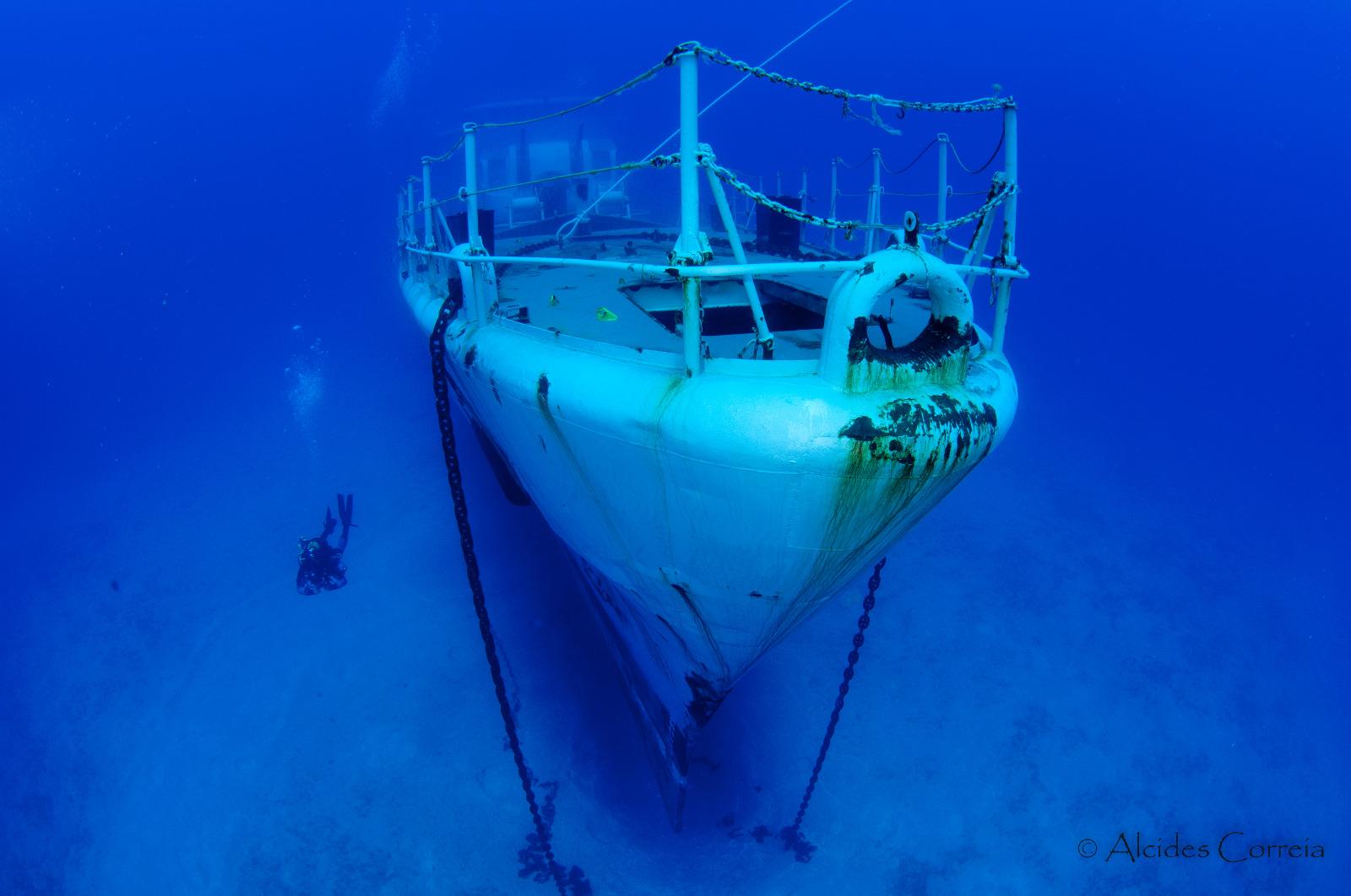 Perdidos e Achados: Navios naufragados no Porto Santo abrigam tesouro da vida marinha (com fotos)