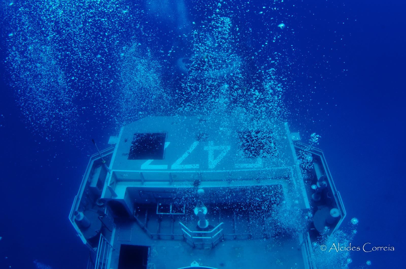 Perdidos e Achados: Navios naufragados no Porto Santo abrigam tesouro da vida marinha (com fotos)