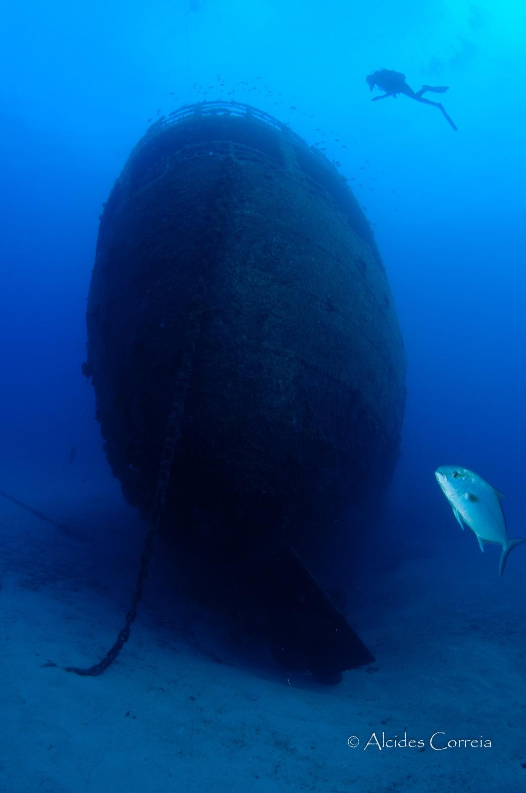 Perdidos e Achados: Navios naufragados no Porto Santo abrigam tesouro da vida marinha (com fotos)