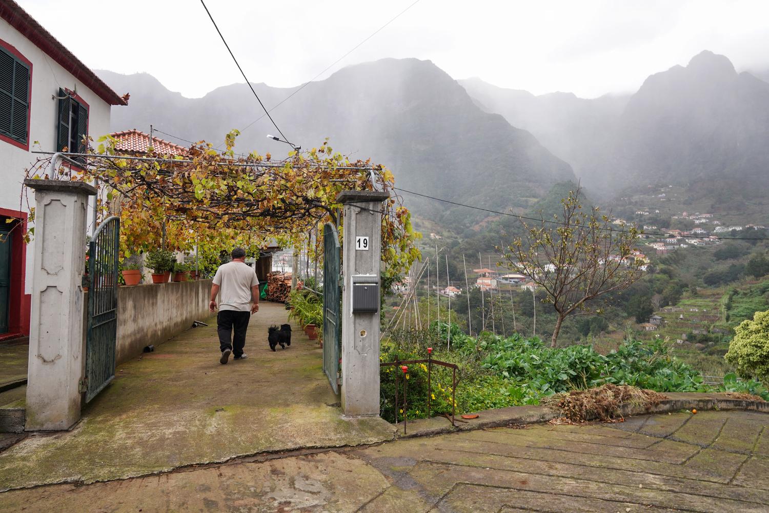 ‘Perdidos e Achados’: Na Fajã da Cinza vivem 16 cães e 13 pessoas (com fotos)