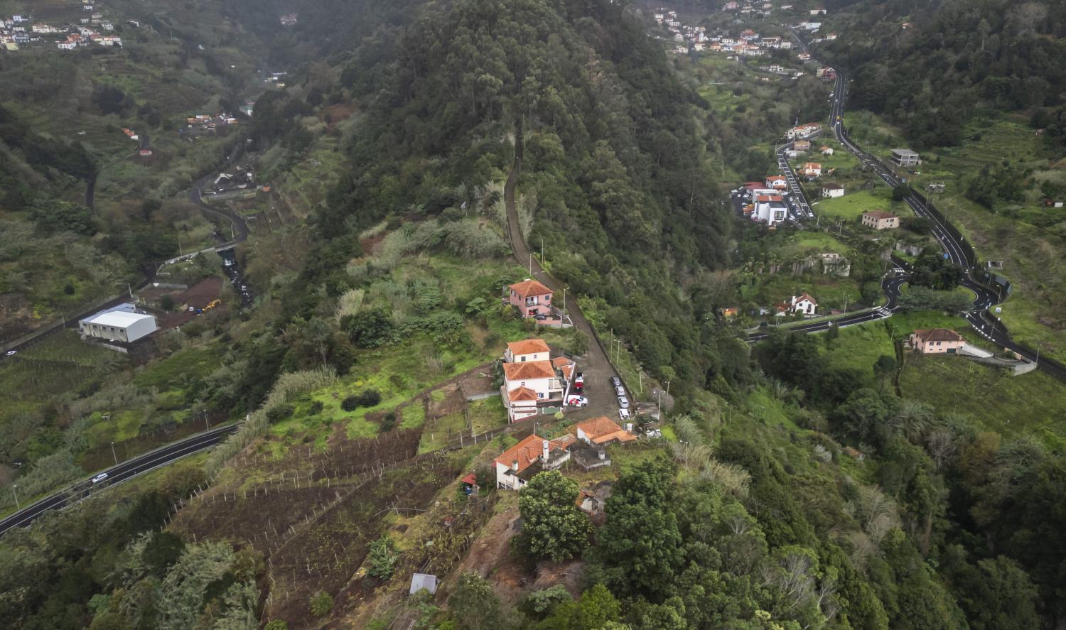 ‘Perdidos e Achados’: Na Fajã da Cinza vivem 16 cães e 13 pessoas (com fotos)